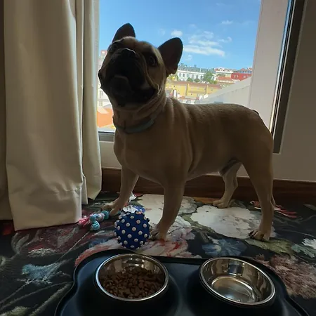 Hotel Duo Lisbon, Curio Collection By Hilton 4*